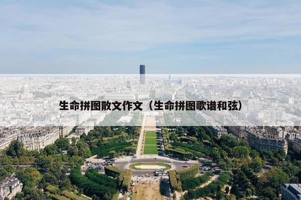 生命拼图散文作文（生命拼图歌谱和弦）