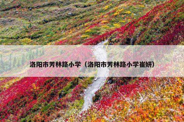 洛阳市芳林路小学（洛阳市芳林路小学崔妍）