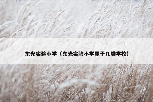 东光实验小学（东光实验小学属于几类学校）