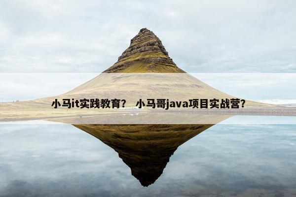 小马it实践教育？ 小马哥java项目实战营？