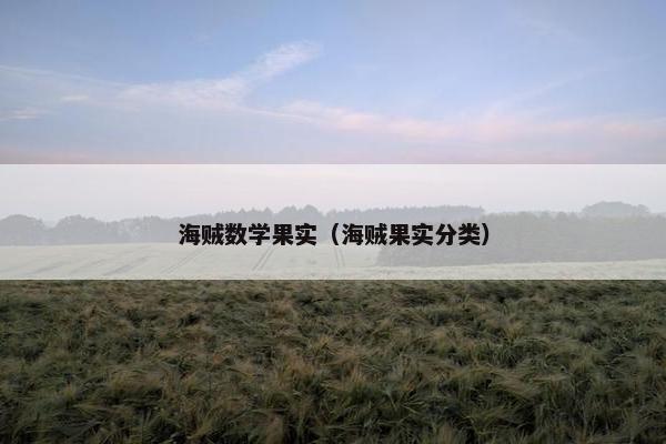 海贼数学果实（海贼果实分类）