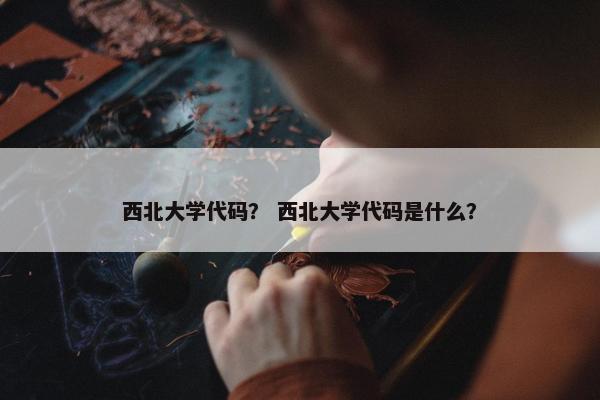 西北大学代码？ 西北大学代码是什么？