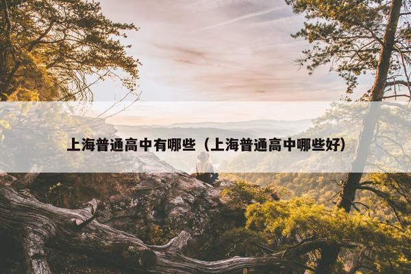 上海普通高中有哪些（上海普通高中哪些好）