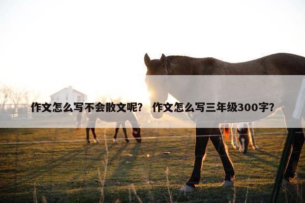 作文怎么写不会散文呢？ 作文怎么写三年级300字？