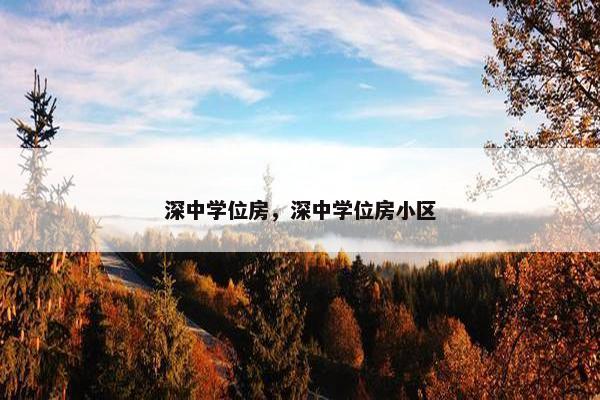 深中学位房，深中学位房小区