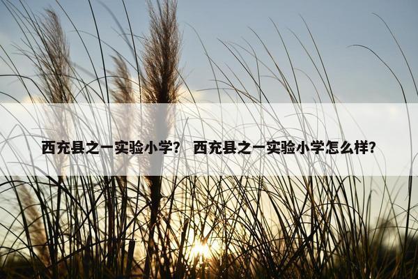 西充县之一实验小学？ 西充县之一实验小学怎么样？