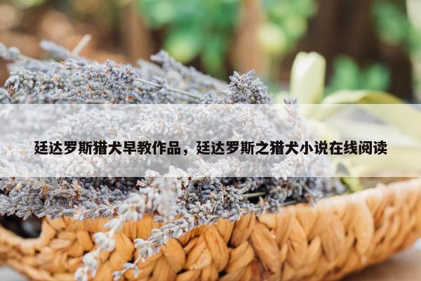 廷达罗斯猎犬早教作品，廷达罗斯之猎犬小说在线阅读