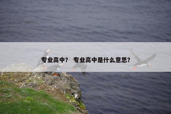 专业高中？ 专业高中是什么意思？