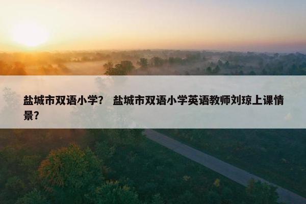盐城市双语小学？ 盐城市双语小学英语教师刘琼上课情景？