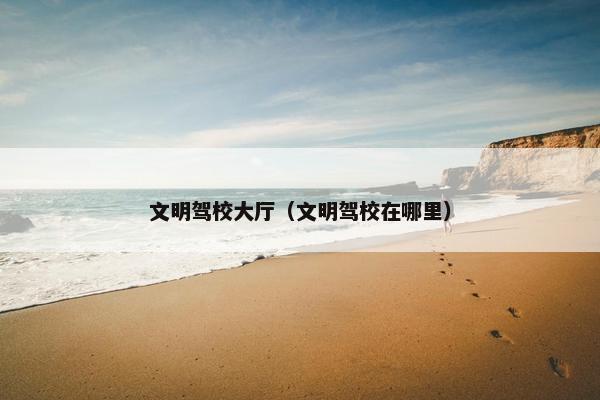 文明驾校大厅（文明驾校在哪里）