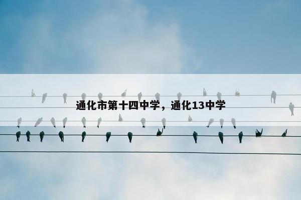 通化市第十四中学，通化13中学