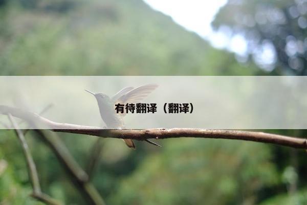 有待翻译（翻译）