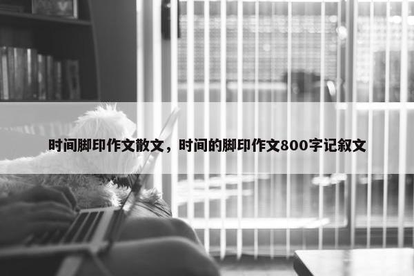 时间脚印作文散文，时间的脚印作文800字记叙文