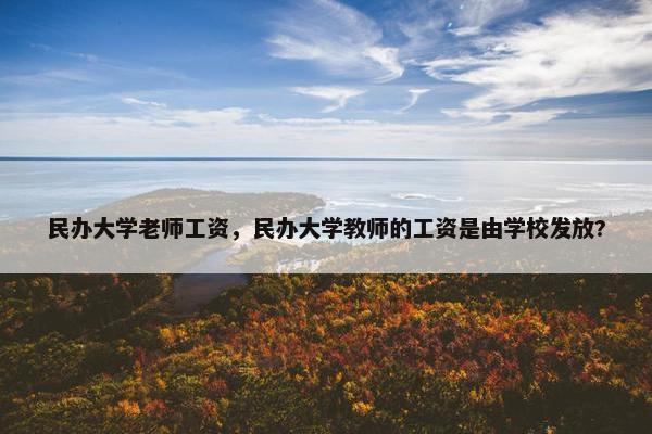 民办大学老师工资，民办大学教师的工资是由学校发放?