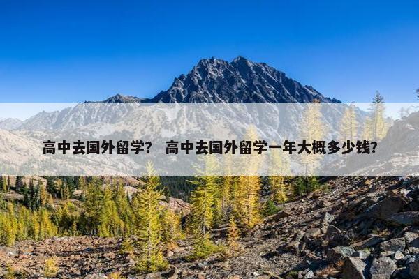 高中去国外留学？ 高中去国外留学一年大概多少钱？