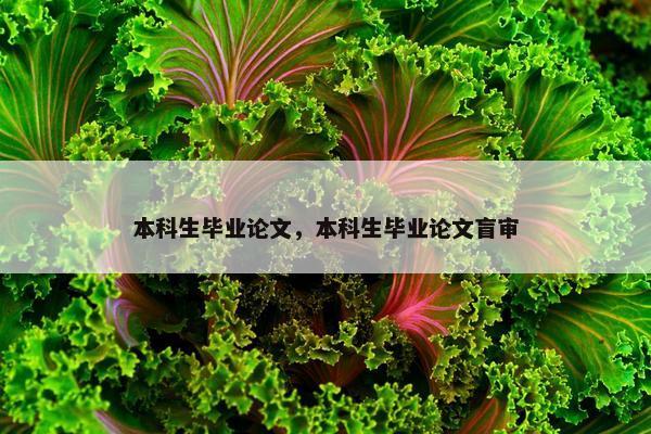 本科生毕业论文，本科生毕业论文盲审