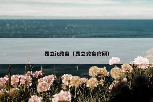 昂立it教育（昂立教育官网）