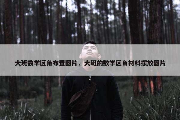 大班数学区角布置图片，大班的数学区角材料摆放图片