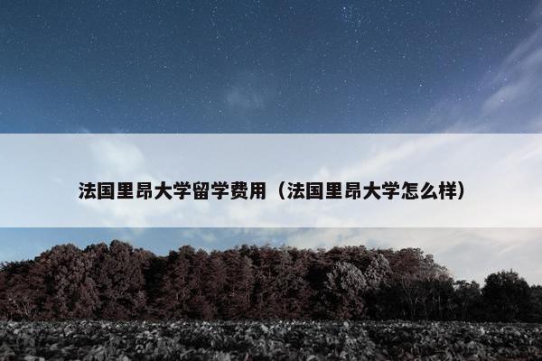 法国里昂大学留学费用（法国里昂大学怎么样）