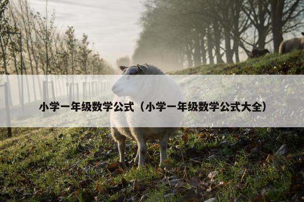 小学一年级数学公式（小学一年级数学公式大全）