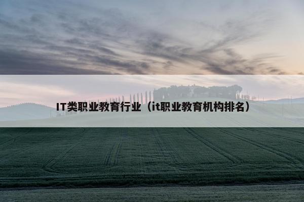 IT类职业教育行业（it职业教育机构排名）