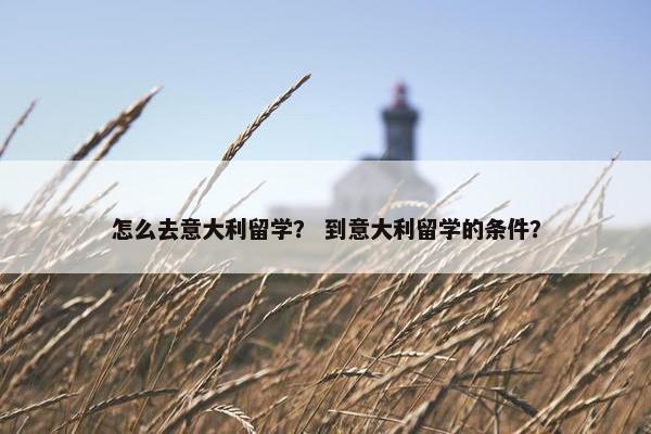 怎么去意大利留学？ 到意大利留学的条件？