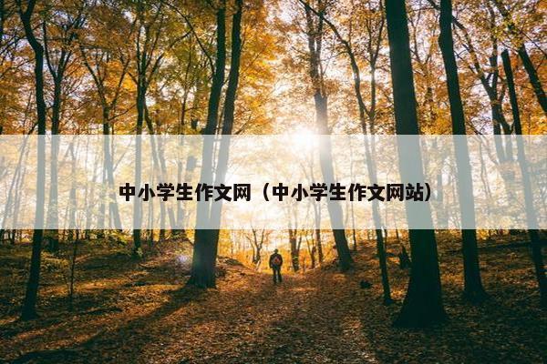 中小学生作文网（中小学生作文网站）