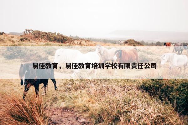 易佳教育，易佳教育培训学校有限责任公司