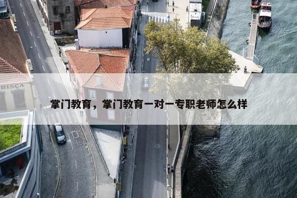 掌门教育，掌门教育一对一专职老师怎么样