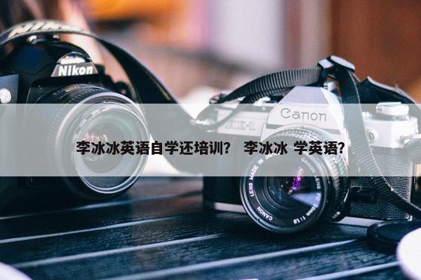 李冰冰英语自学还培训？ 李冰冰 学英语？