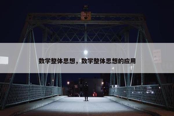 数学整体思想，数学整体思想的应用