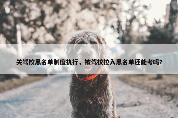 关驾校黑名单制度执行，被驾校拉入黑名单还能考吗?