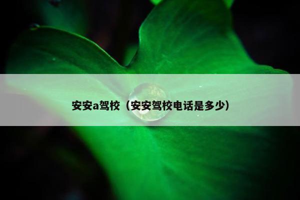 安安a驾校（安安驾校电话是多少）