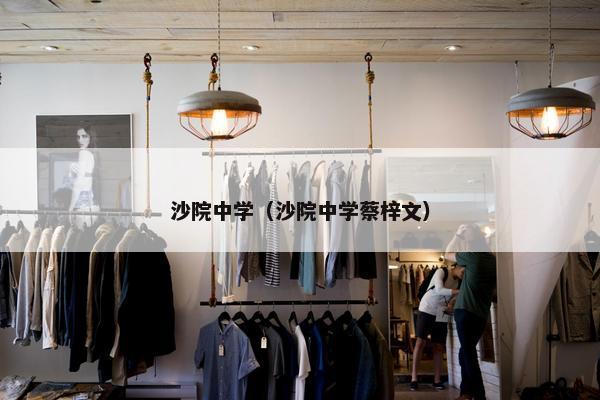 沙院中学（沙院中学蔡梓文）