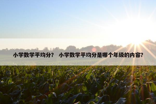 小学数学平均分？ 小学数学平均分是哪个年级的内容？