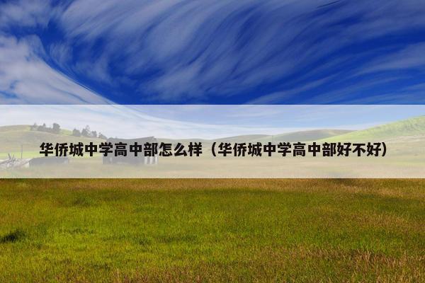 华侨城中学高中部怎么样（华侨城中学高中部好不好）