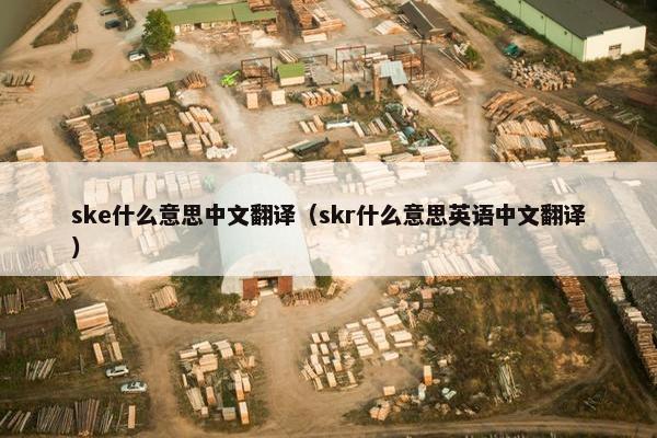 ske什么意思中文翻译（skr什么意思英语中文翻译）