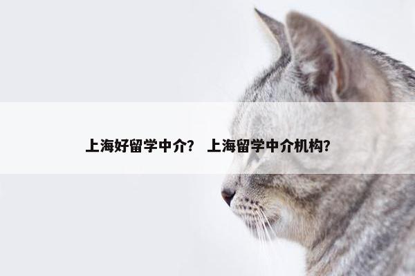 上海好留学中介？ 上海留学中介机构？