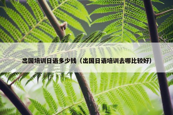 出国培训日语多少钱（出国日语培训去哪比较好）