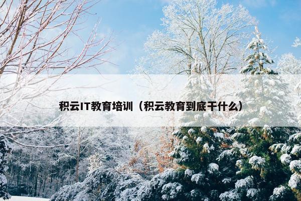 积云IT教育培训（积云教育到底干什么）