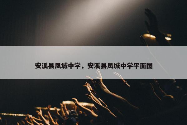 安溪县凤城中学，安溪县凤城中学平面图