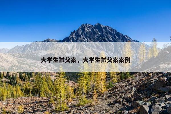 大学生弑父案，大学生弑父案案例