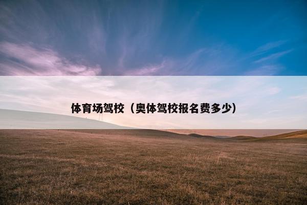 体育场驾校（奥体驾校报名费多少）