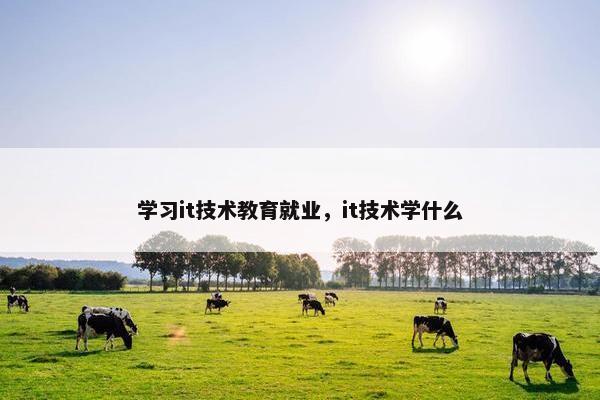 学习it技术教育就业，it技术学什么