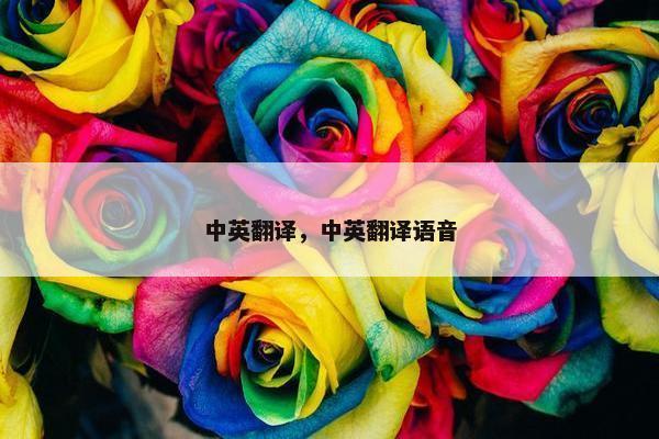 中英翻译，中英翻译语音