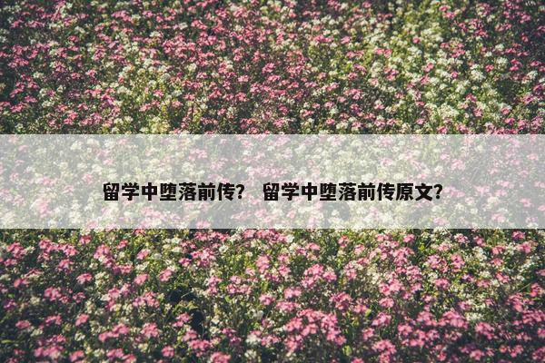 留学中堕落前传？ 留学中堕落前传原文？