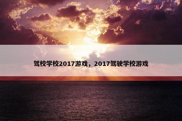 驾校学校2017游戏，2017驾驶学校游戏