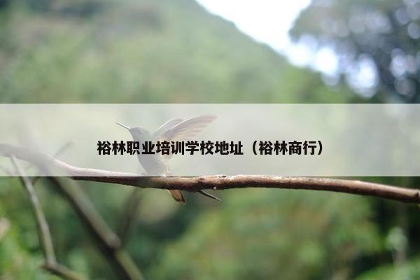 裕林职业培训学校地址（裕林商行）