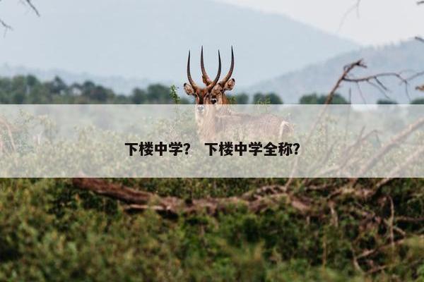 下楼中学？ 下楼中学全称？
