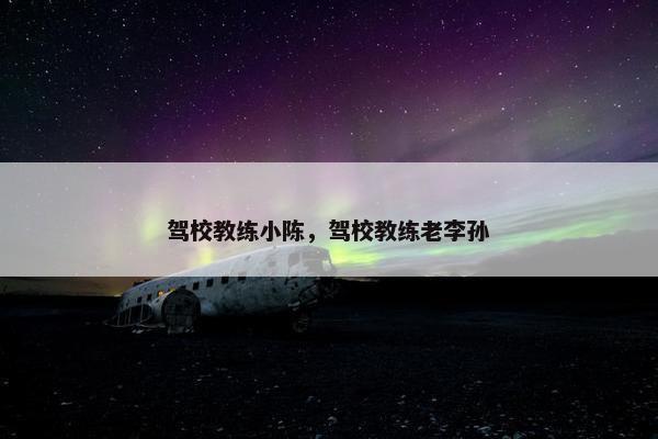 驾校教练小陈，驾校教练老李孙